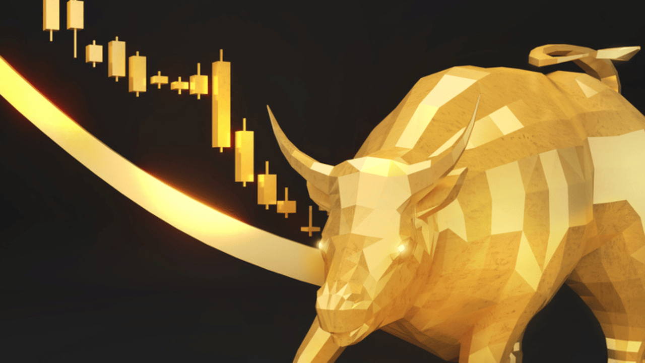 Bull market và Bear market