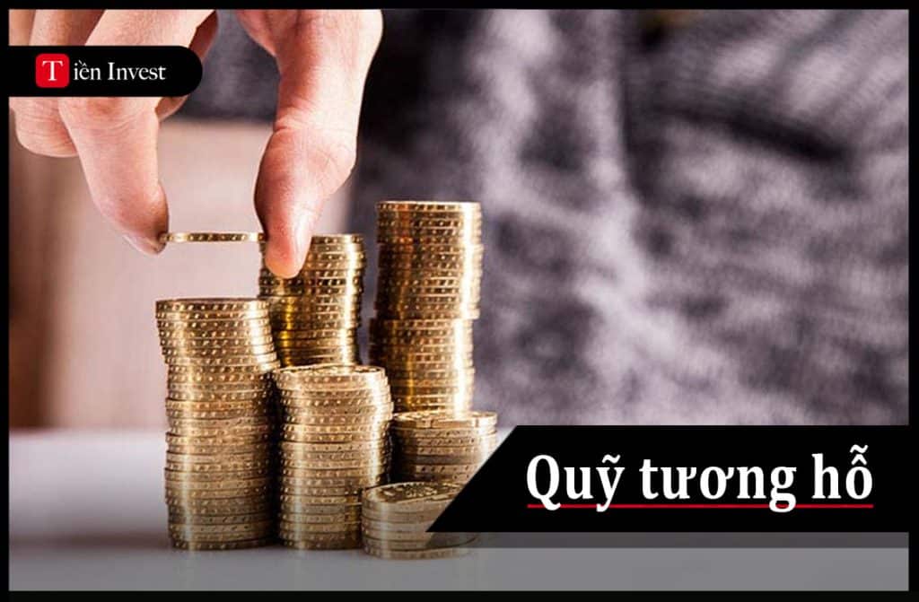 7 Cách lựa chọn quỹ tương hỗ tối ưu với người mới bắt đầu Cách lựa chọn quỹ tương hỗ