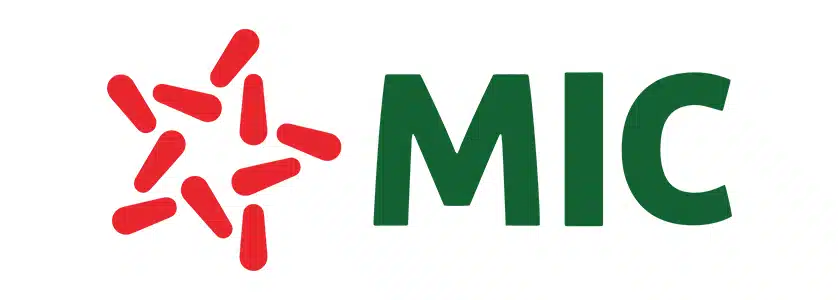 Bảo hiểm ô tô MIC