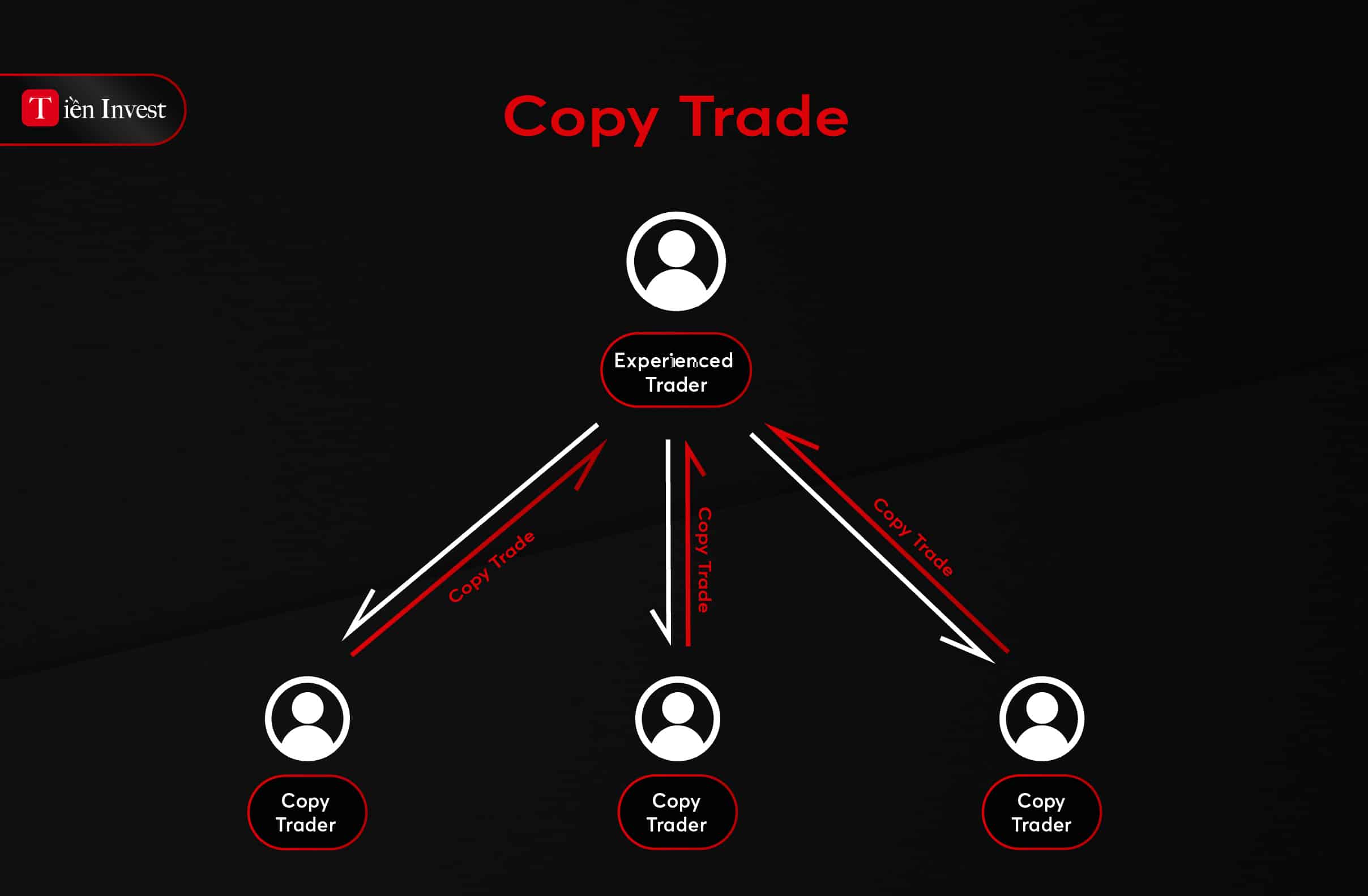 Copy trade 