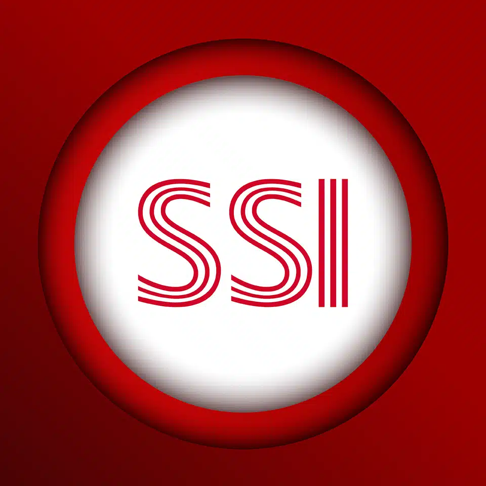 SSI Top 10 những mã cổ phiếu tiềm năng