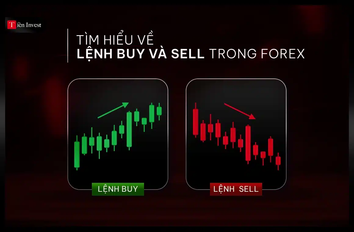Buy sell là gì trong forex Hướng dẫn đặt lệnh cho người mới